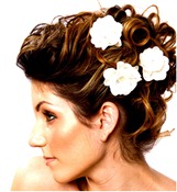 Bridal Hair Accessories Floral Hair Accessories